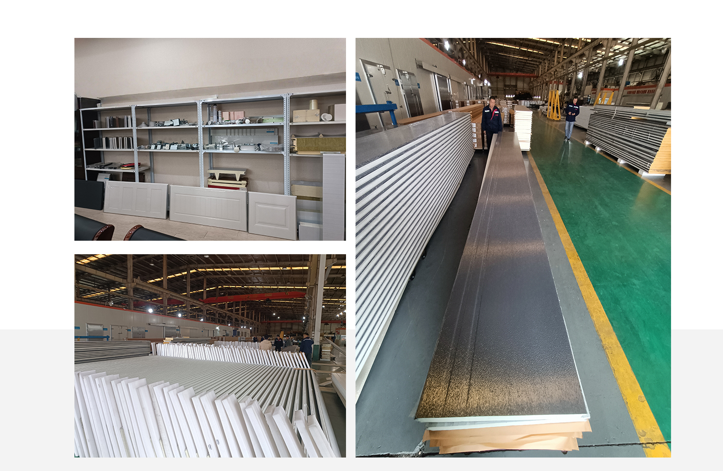 Company Profile